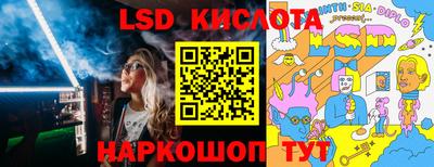 шишки Славгород
