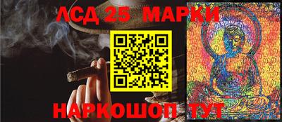 шишки Славгород