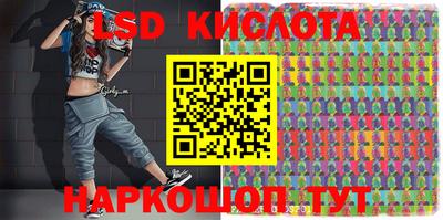 амф Сланцы