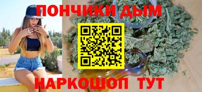 амф Сланцы