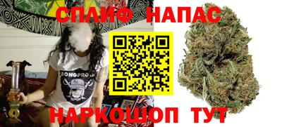 амф Сланцы