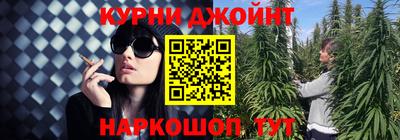 шишки Славгород