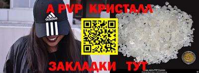 амф Сланцы